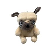 PUG